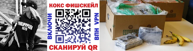 Купить закладки  Мамадыш  Cocaine VHQ 