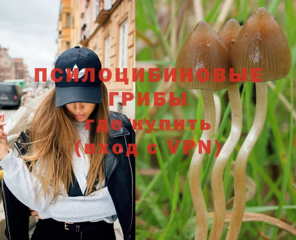 герыч Елабуга