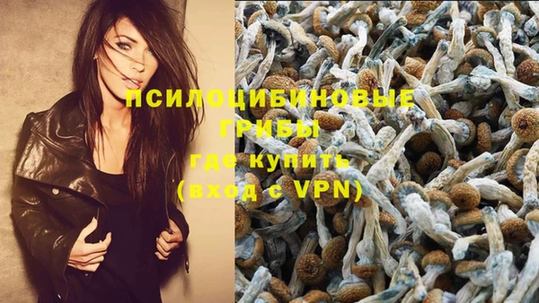 ALPHA-PVP Ельня