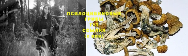 герыч Елизово