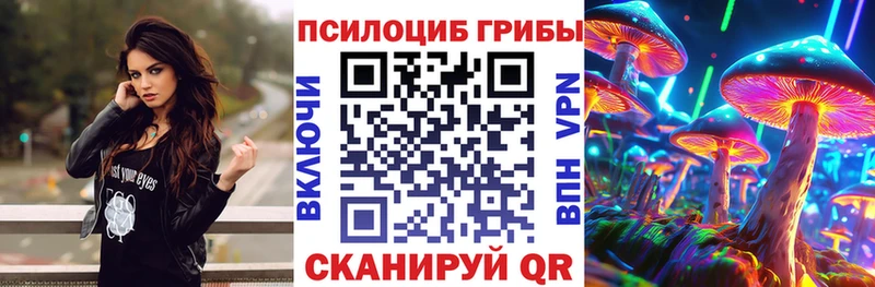 Купить где  Мамадыш  Псилоцибиновые грибы Magic Shrooms 
