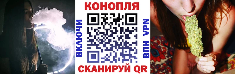 Купить где  Мамадыш  Бошки Шишки конопля 